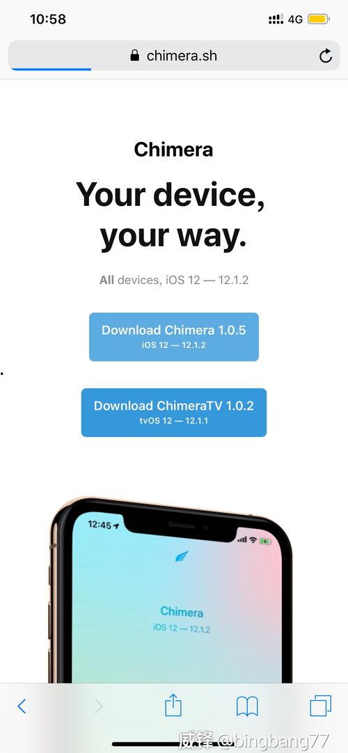 国产不卡v在线观看